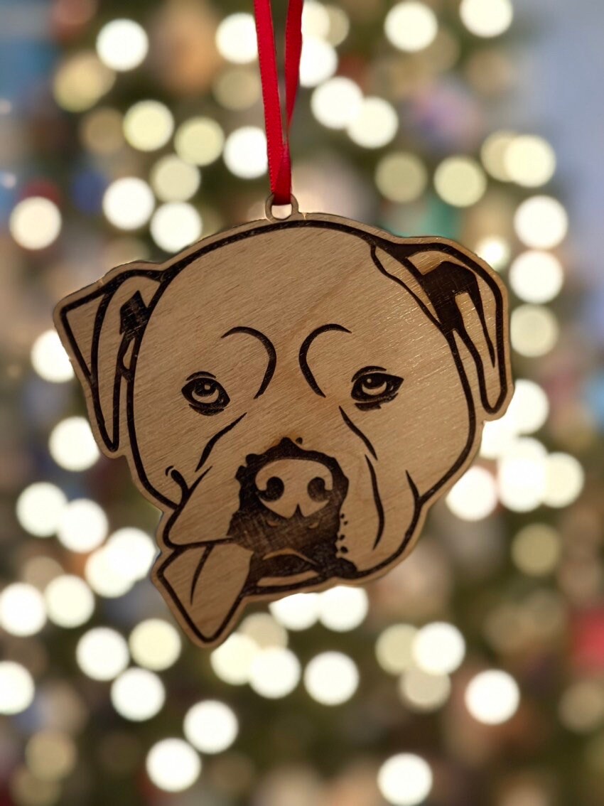 Custom Pet Photo Christmas Decoration, Personalized Pet Portrait Bauble, Dog Mom Dad Gift for Dog Lover, Pet Ornament, Animal Lover Gift